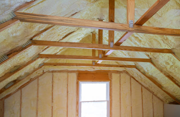Best Energy-efficient Insulation  in South Chicago Heights, IL