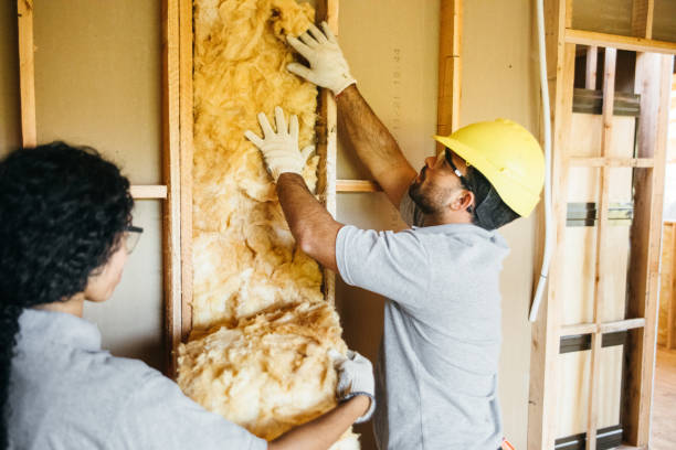 Professional Insulation Contractor in South Chicago Heights, IL