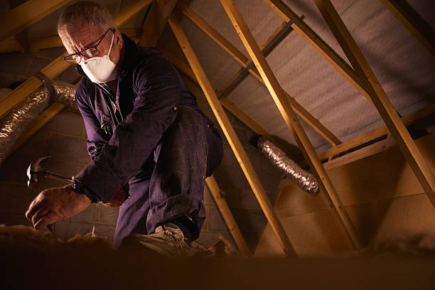 Insulation Replacement Services in South Chicago Heights, IL